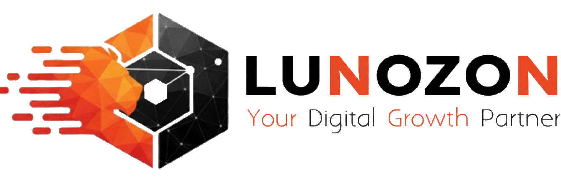 Lunozon Solutions